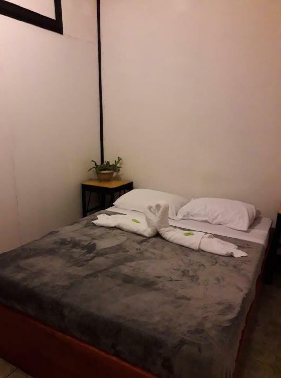 Hostel California Monteverde Eksteriør billede